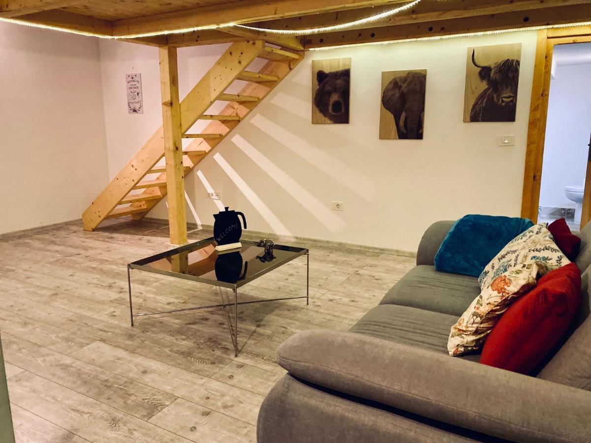 Central Cluj Loft Διαμέρισμα Εξωτερικό φωτογραφία
