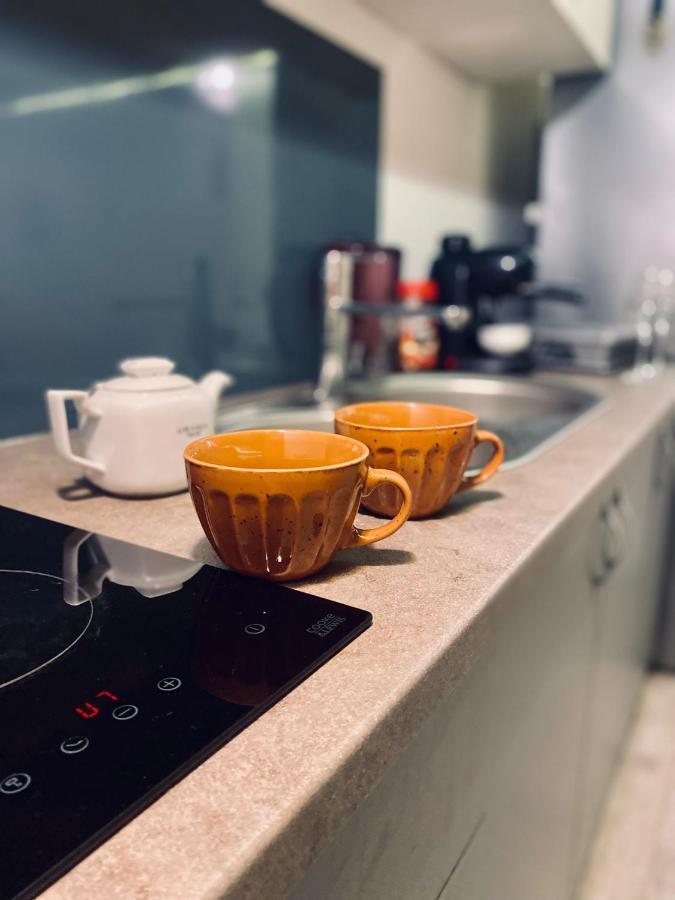 Central Cluj Loft Διαμέρισμα Εξωτερικό φωτογραφία