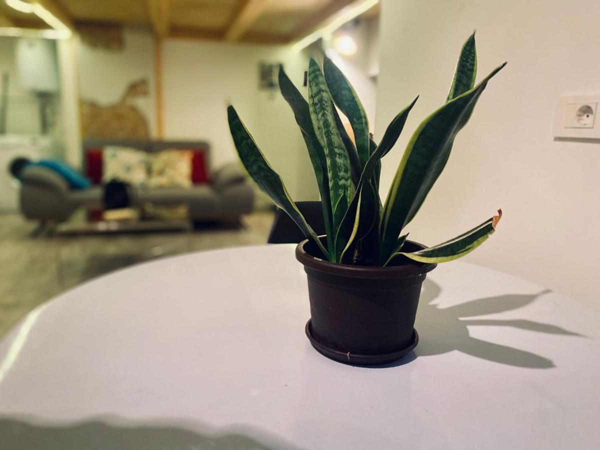 Central Cluj Loft Διαμέρισμα Εξωτερικό φωτογραφία